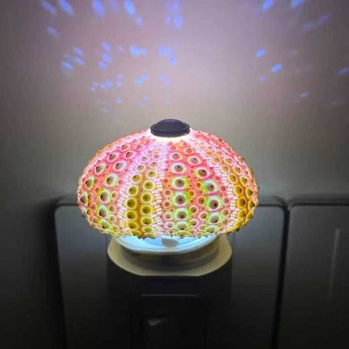 DIY Seeigel-Nachtlicht: Kreatives Vintage-Ambiente