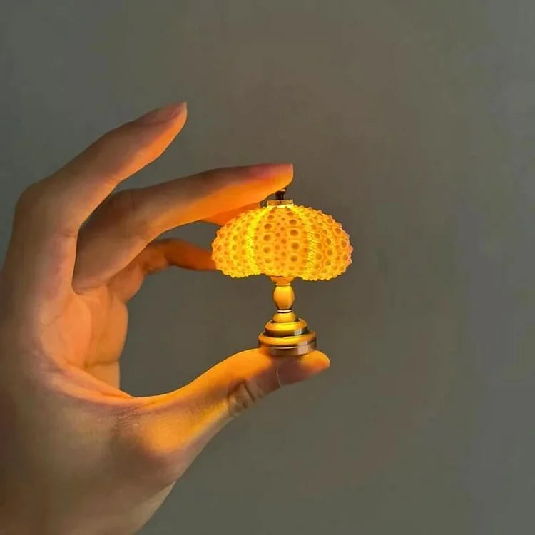 DIY Seeigel-Nachtlicht: Kreatives Vintage-Ambiente