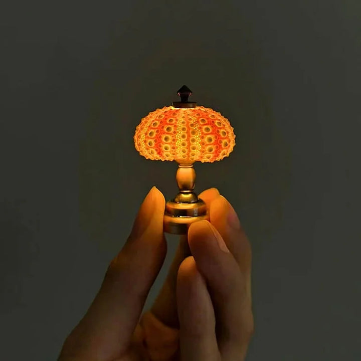 DIY Seeigel-Nachtlicht: Kreatives Vintage-Ambiente