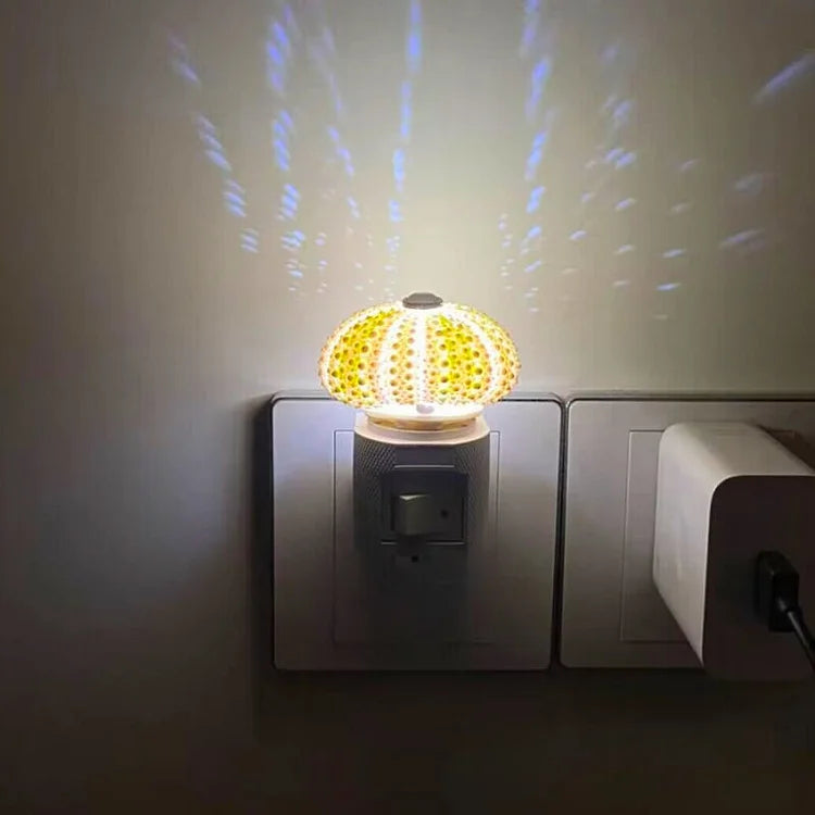DIY Seeigel-Nachtlicht: Kreatives Vintage-Ambiente