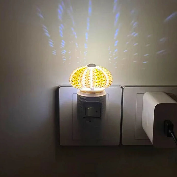 DIY Seeigel-Nachtlicht: Kreatives Vintage-Ambiente