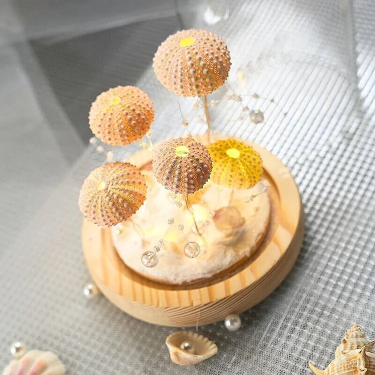 DIY Seeigel-Nachtlicht: Kreatives Vintage-Ambiente