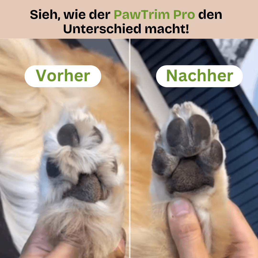 HundeklaTrimmer: Effektive & Sanfte Krallenpflege