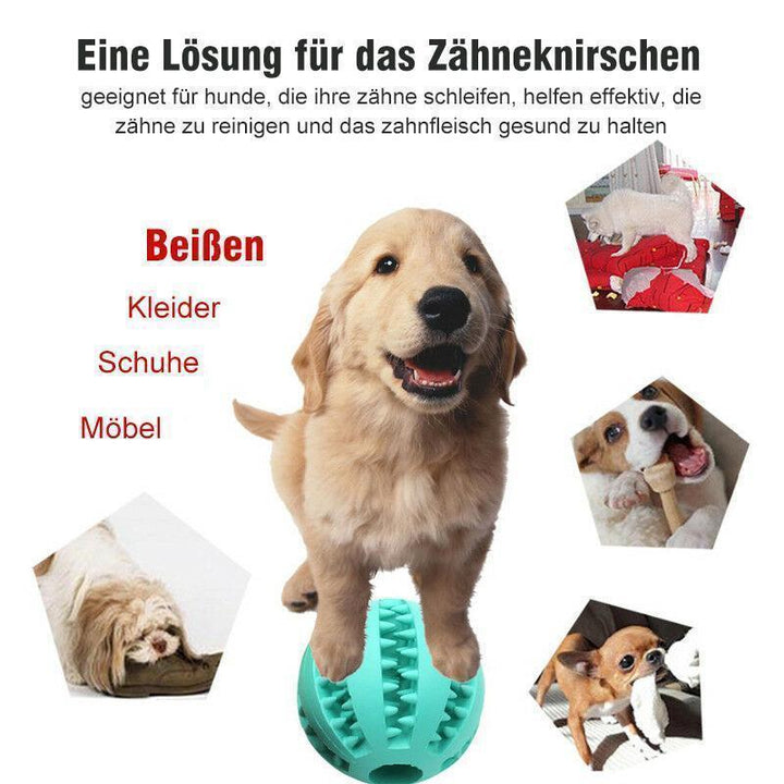 Hundebiss beständiger elastische Kugel Spielzeug Ball