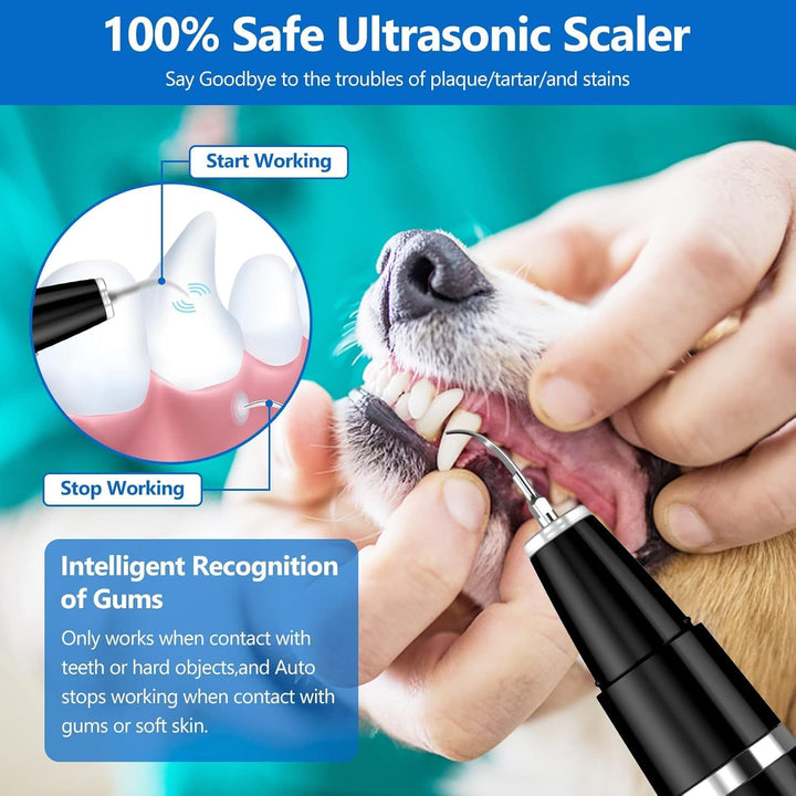 Ultraschall-Zahnpflegegerät für Hunde, sicher, effektiv, Zahnsteinentfernung, Zahnreinigung.