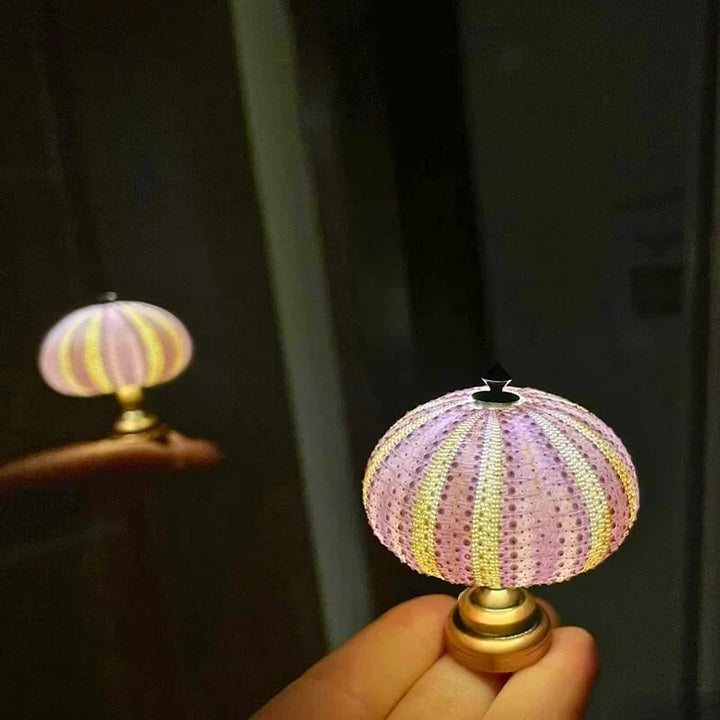 DIY Seeigel-Nachtlicht: Kreatives Vintage-Ambiente