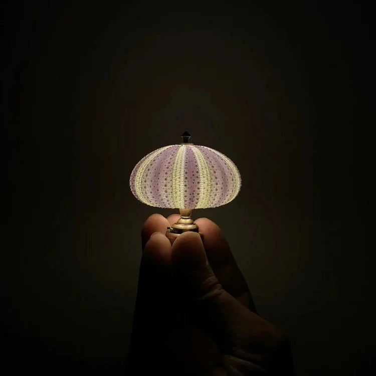 DIY Seeigel-Nachtlicht: Kreatives Vintage-Ambiente