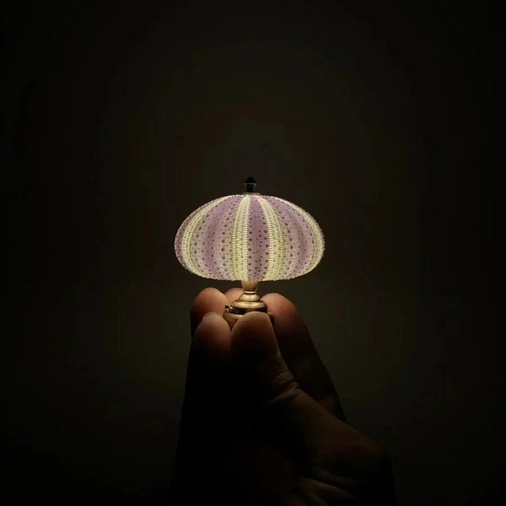 DIY Seeigel-Nachtlicht: Kreatives Vintage-Ambiente