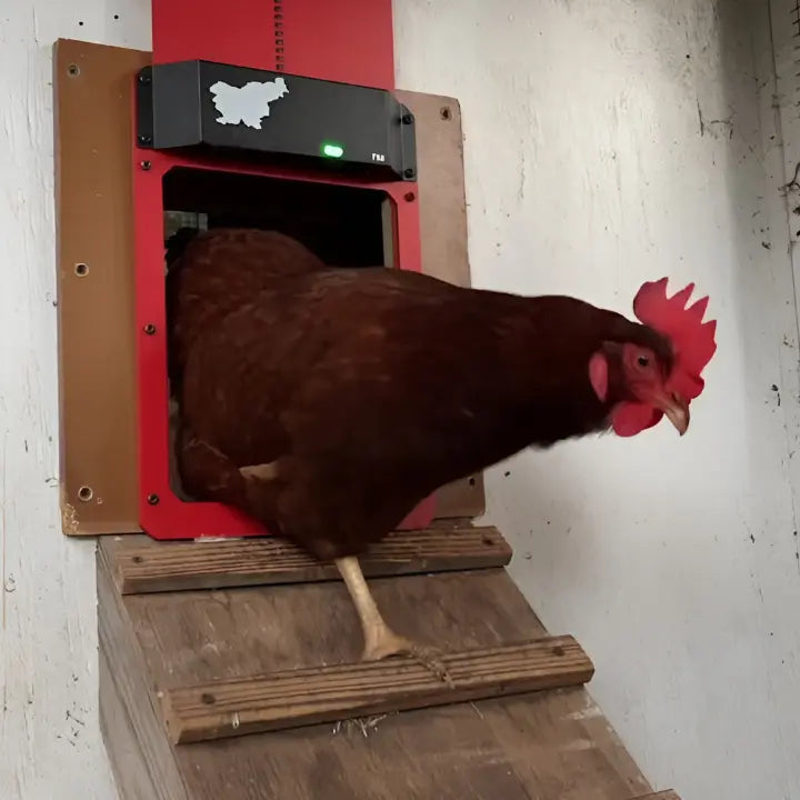 "Automatische wetterfeste Hühnerstalltür mit Zeitschaltuhr, rot-braun, robustes Design, 35x24 cm für sicheren Schutz."