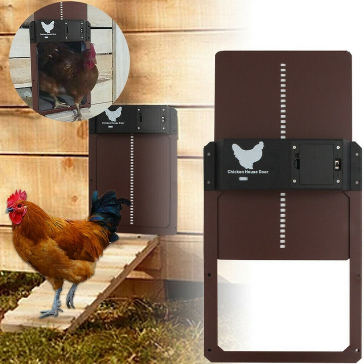 Automatische Hühnerklappe braun, wetterfest, mit Huhn, für sicheren Hühnerstall-Eingang.