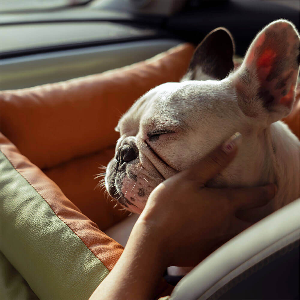 "Autositz Hundebett aus Kunstleder, dick gepolstert, in Grau, mit integrierter Leine für sicheren Hundetransport."