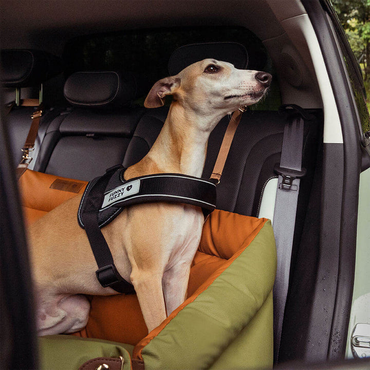 "Autositz Hundebett aus Kunstleder, dick gepolstert, in Grau, mit integrierter Leine für sicheren Hundetransport."