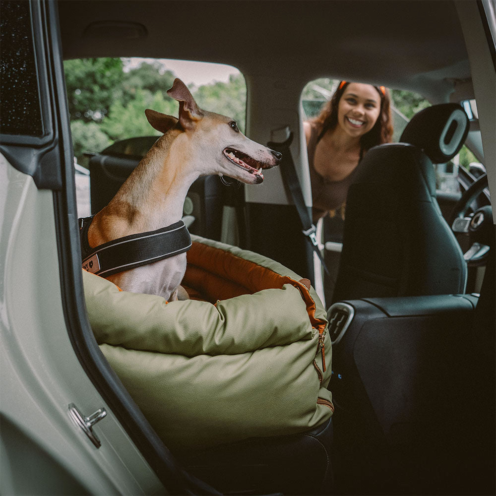 "Autositz Hundebett aus Kunstleder, dick gepolstert, in Grau, mit integrierter Leine für sicheren Hundetransport."