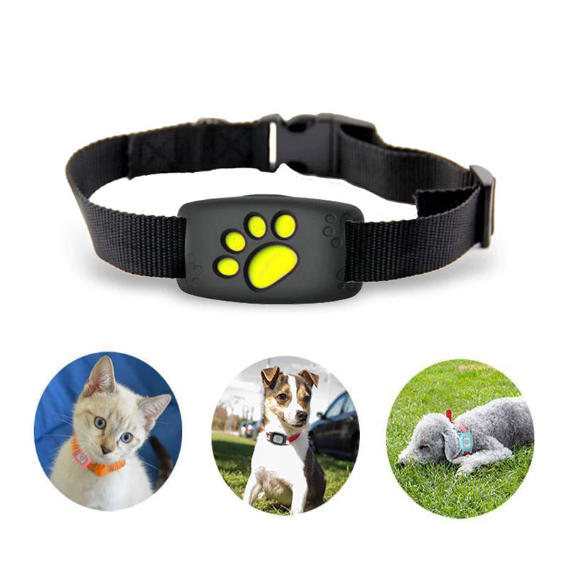 Intelligentes Katzen- und Hunde-GPS-Halsband – PawTrack