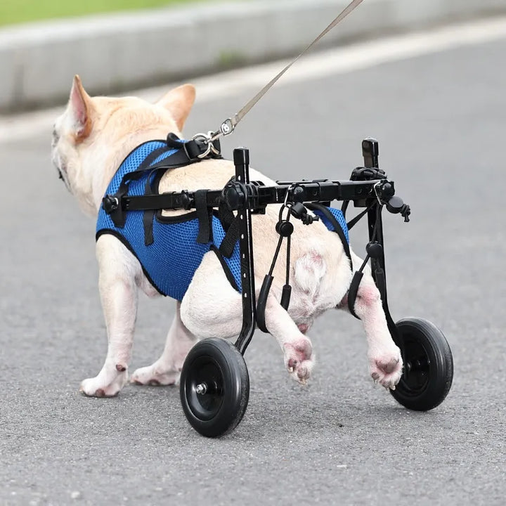 Blauer Hundehilfe-Rollstuhl für Haustiere, fördert Mobilität, verstellbare Gurte, leichtes Gestell, ideal für Hunde & Katzen.