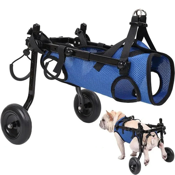 Blauer Hundehilfe-Rollstuhl für Haustiere, fördert Mobilität, verstellbare Gurte, leichtes Gestell, ideal für Hunde & Katzen.