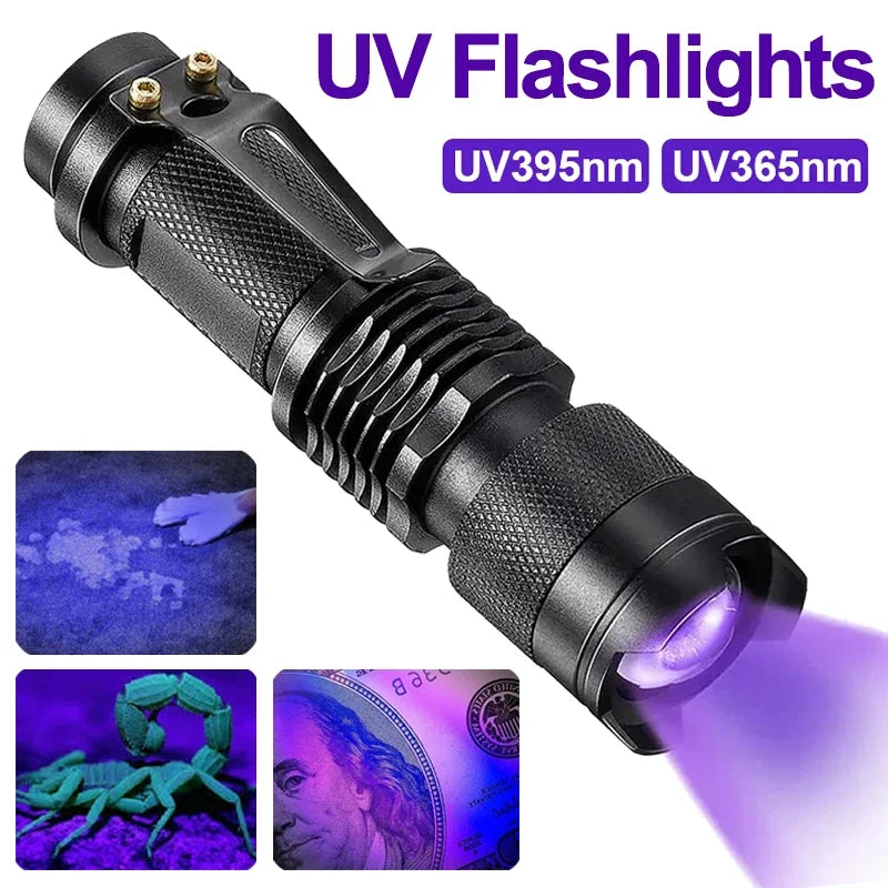 Schwarze UV-Taschenlampe, 395nm und 365nm, für Geldscheinprüfung und Fleckendetektion.