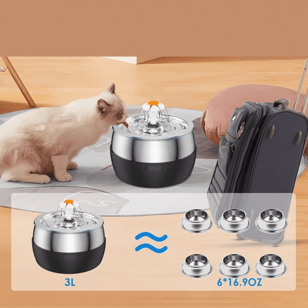 "Edelstahl Trinkbrunnen 3L mit leisem Doppel-Auslauf, ideal für Haustiere, einfache Reinigung und großes Fassungsvermögen."