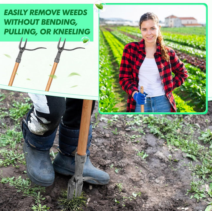 "Effektiver Unkrautzieher, 4-Krallen Kopf, Eisenwerkzeug, entfernt Wurzeln tief, robustes, ergonomisches Gartenwerkzeug"