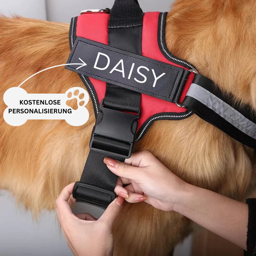 Ergonomisches Anti-Zug Hundegeschirr in verschiedenen Farben, personalisierbar für Komfort und reflektierende Sicherheit.