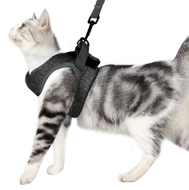 Ergonomisches Katzen-Geschirr mit Leine, Anti-Ausbruchs-Design, weich, atmungsaktiv, für maximale Sicherheit und Komfort.