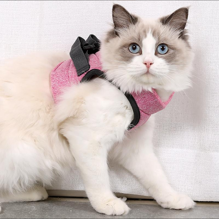 Ergonomisches Katzen-Geschirr mit Leine, Anti-Ausbruchs-Design, weich, atmungsaktiv, für maximale Sicherheit und Komfort.