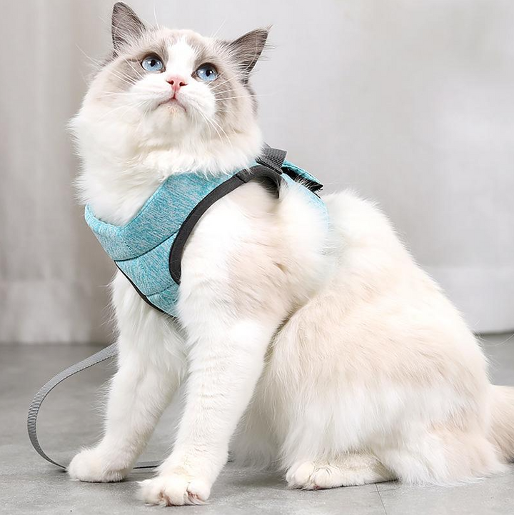 Ergonomisches Katzen-Geschirr mit Leine, Anti-Ausbruchs-Design, weich, atmungsaktiv, für maximale Sicherheit und Komfort.