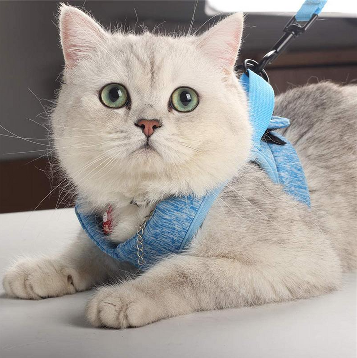 Ergonomisches Katzen-Geschirr mit Leine, Anti-Ausbruchs-Design, weich, atmungsaktiv, für maximale Sicherheit und Komfort.