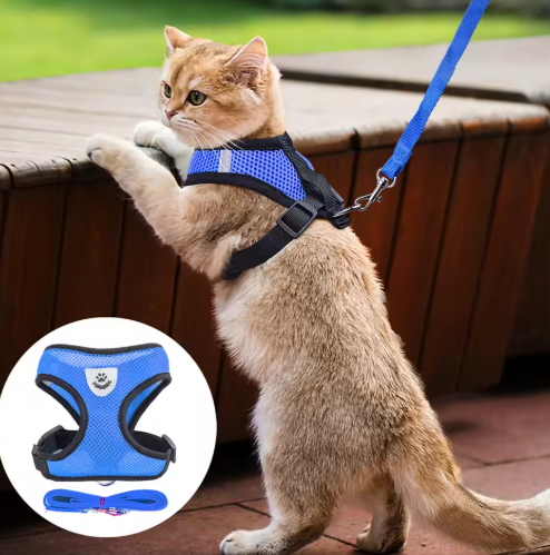 Ergonomisches, verstellbares Katzengeschirr mit Leine, sicher und bequem, ideal für alle Größen, leicht und atmungsaktiv.