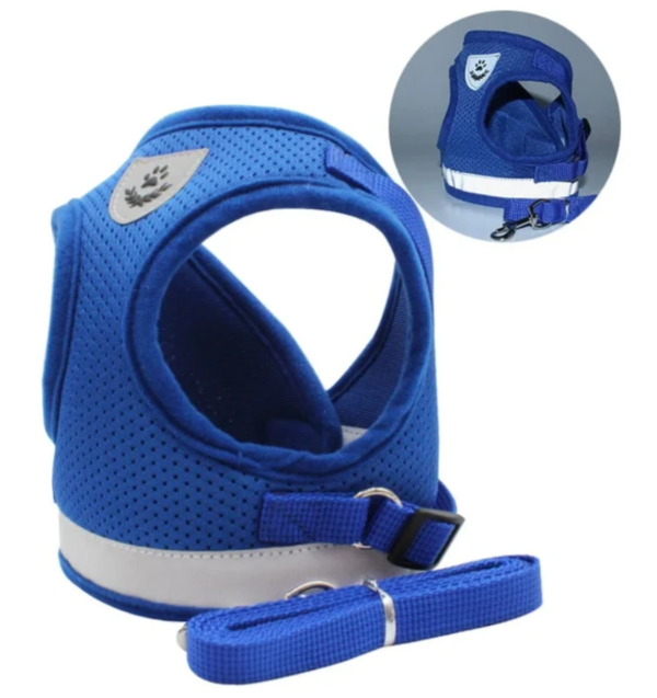 Ergonomisches, verstellbares Katzengeschirr mit Leine, sicher und bequem, ideal für alle Größen, leicht und atmungsaktiv.