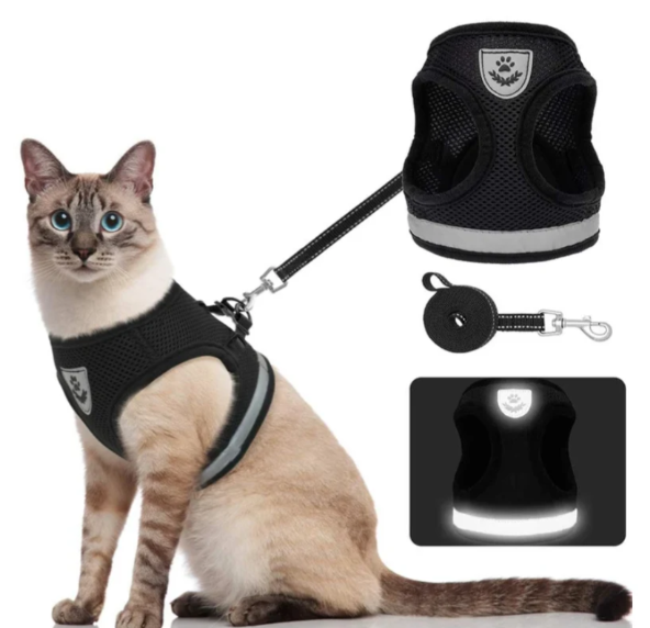 Ergonomisches, verstellbares Katzengeschirr mit Leine, sicher und bequem, ideal für alle Größen, leicht und atmungsaktiv.