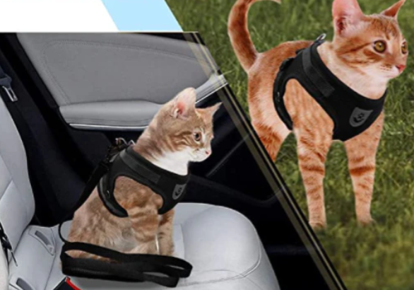 Ergonomisches, verstellbares Katzengeschirr mit Leine, sicher und bequem, ideal für alle Größen, leicht und atmungsaktiv.
