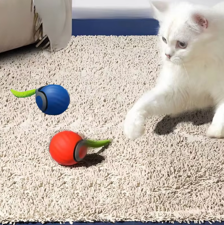 "Farbenfrohes, selbstfahrendes Katzenspielzeug in Blau und Orange, bewegt sich automatisch für aktives Spielen."