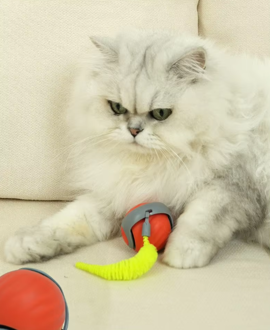 "Farbenfrohes, selbstfahrendes Katzenspielzeug in Blau und Orange, bewegt sich automatisch für aktives Spielen."