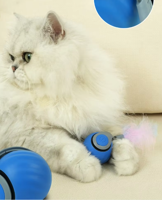 "Farbenfrohes, selbstfahrendes Katzenspielzeug in Blau und Orange, bewegt sich automatisch für aktives Spielen."