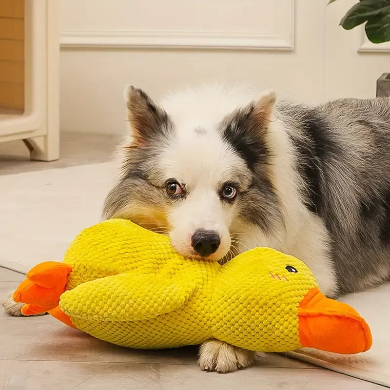 "FlappyDuck Hundespielzeug, gelbe Ente, bietet Zahnpflege und quietschendes Spielvergnügen für Hunde, seitliche Ansicht."