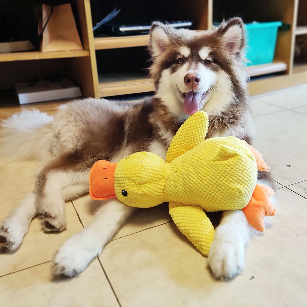 "FlappyDuck Hundespielzeug, gelbe Ente, bietet Zahnpflege und quietschendes Spielvergnügen für Hunde, seitliche Ansicht."