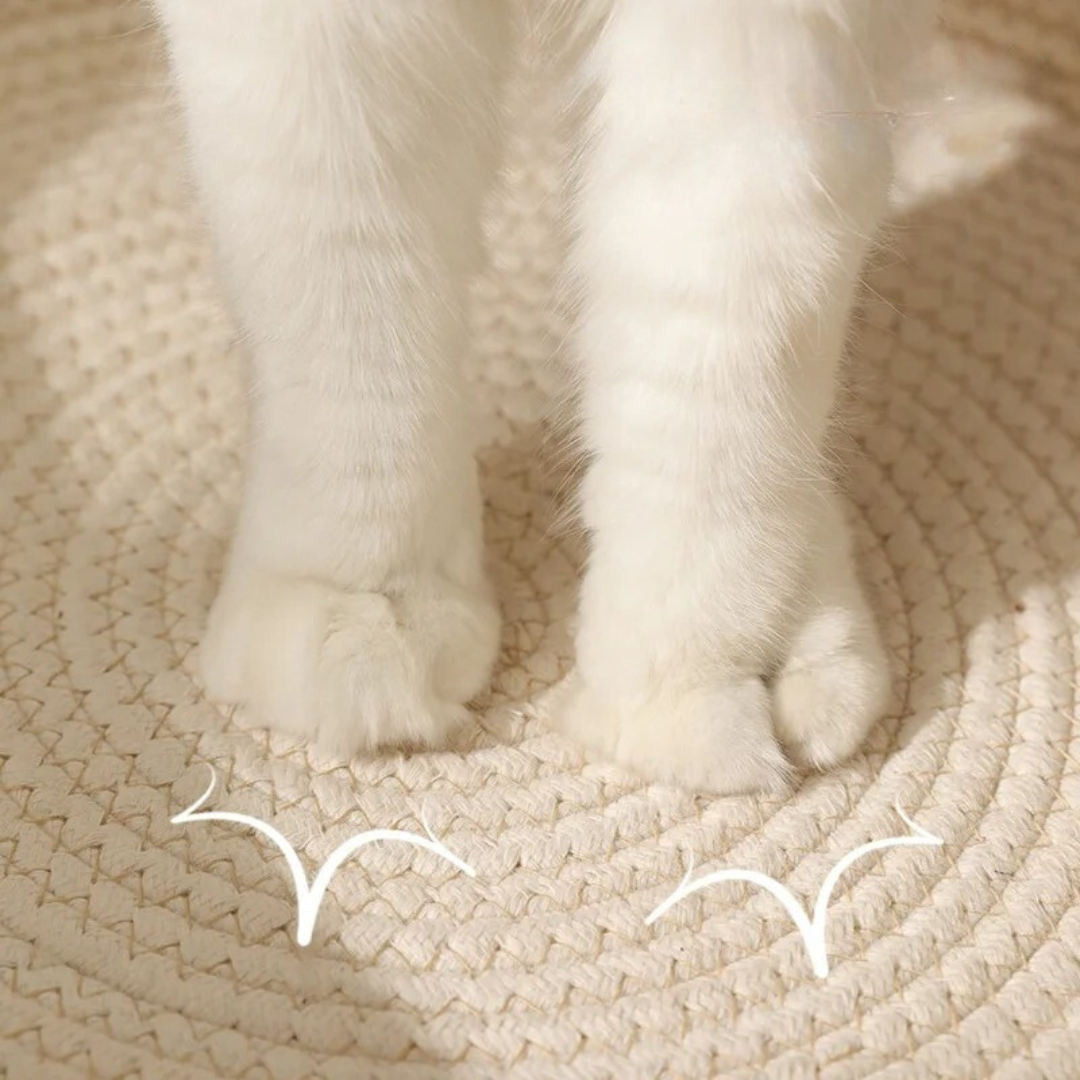 "Gemütliches handgewebtes Baumwollseil-Katzenbett mit hohen Seitenwänden in neutralen Farben für ultimativen Komfort."
