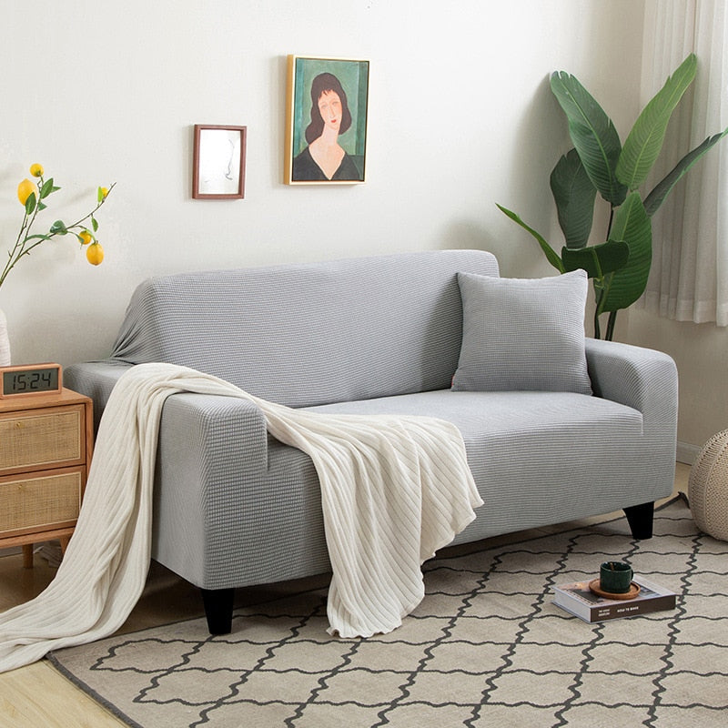 Graues Sofa mit Kissen, Überwurf, Wohnzimmer, moderne Einrichtung, Zimmerpflanze, Teppich.