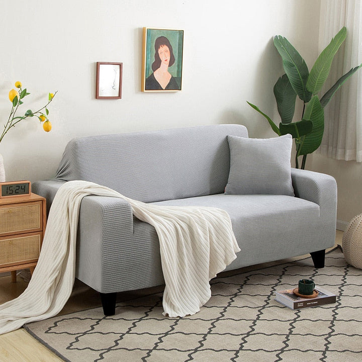Graues Sofa mit Kissen, Überwurf, Wohnzimmer, moderne Einrichtung, Zimmerpflanze, Teppich.