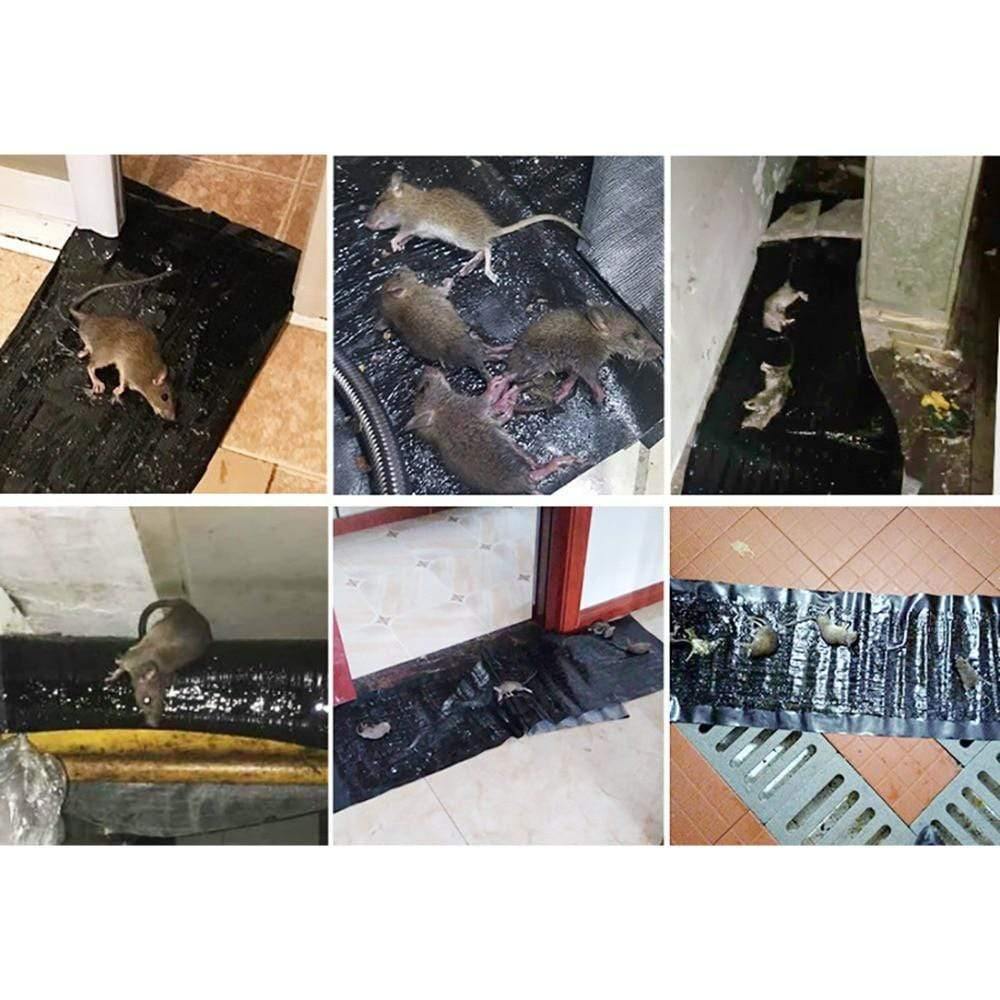 "Große Klebematte für Ratten, ungiftig, wasserfest, Erdnussbutteraroma, fängt Nagetiere effektiv, schwarze Oberfläche"