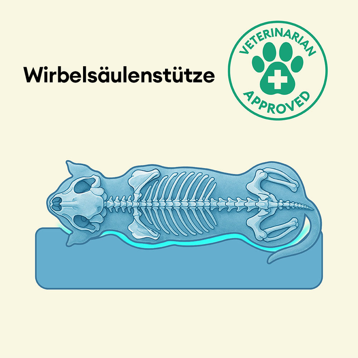 "Großes orthopädisches Hundebett, wasserdicht. Gemütliches Design mit robustem, kratzfestem Bezug und stützender Umrandung."