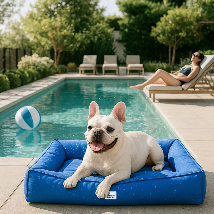 "Großes orthopädisches Hundebett, wasserdicht. Gemütliches Design mit robustem, kratzfestem Bezug und stützender Umrandung."