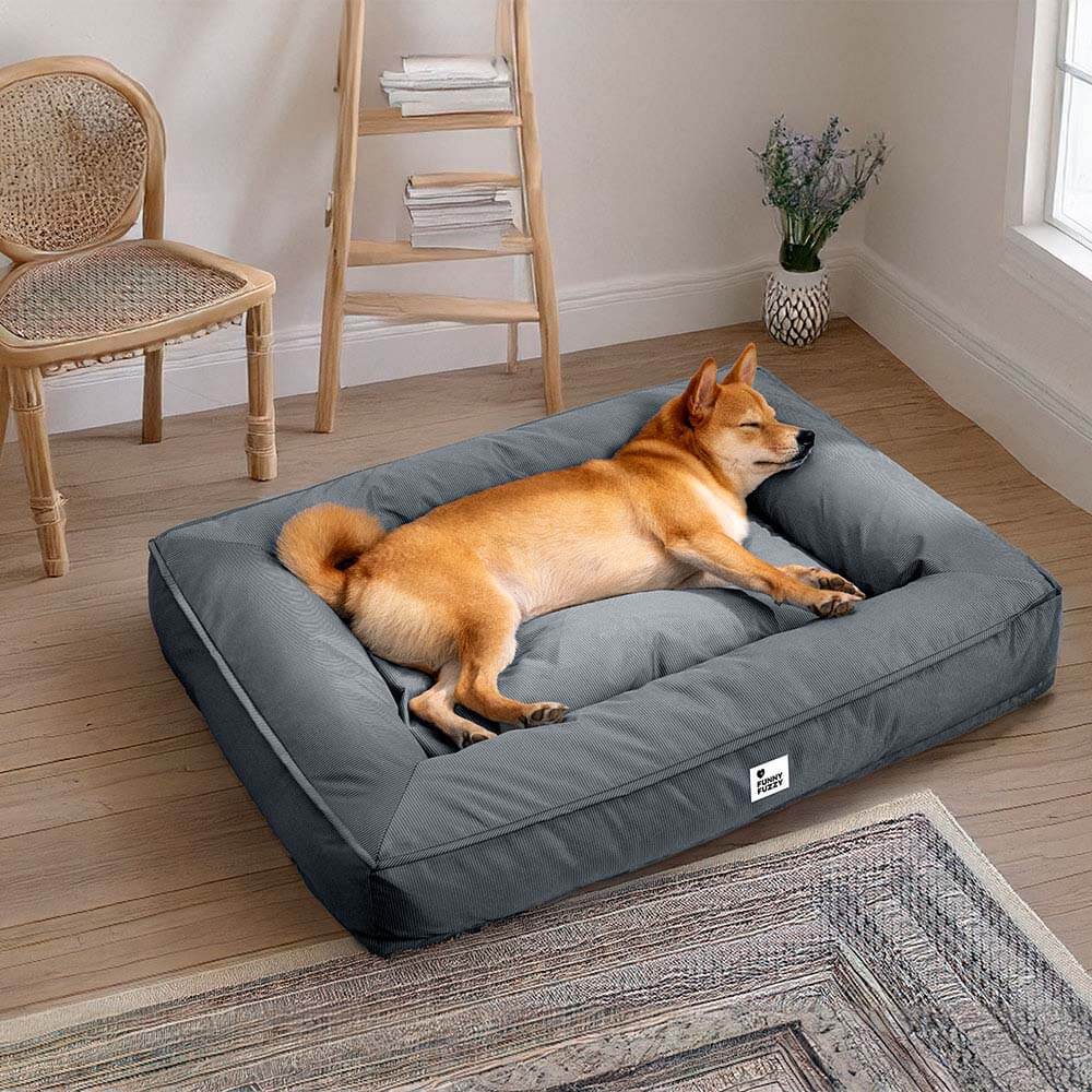 "Großes orthopädisches Hundebett, wasserdicht. Gemütliches Design mit robustem, kratzfestem Bezug und stützender Umrandung."