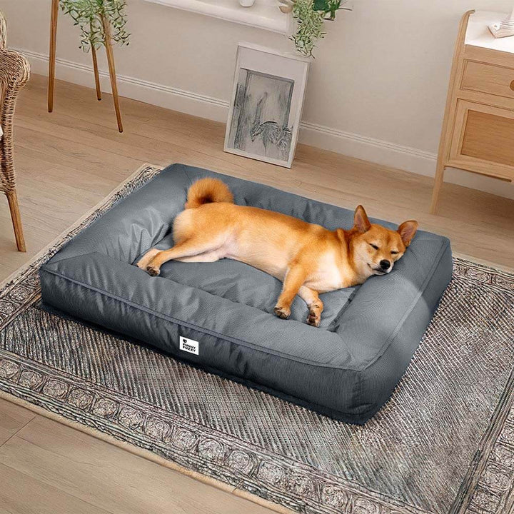 "Großes orthopädisches Hundebett, wasserdicht. Gemütliches Design mit robustem, kratzfestem Bezug und stützender Umrandung."