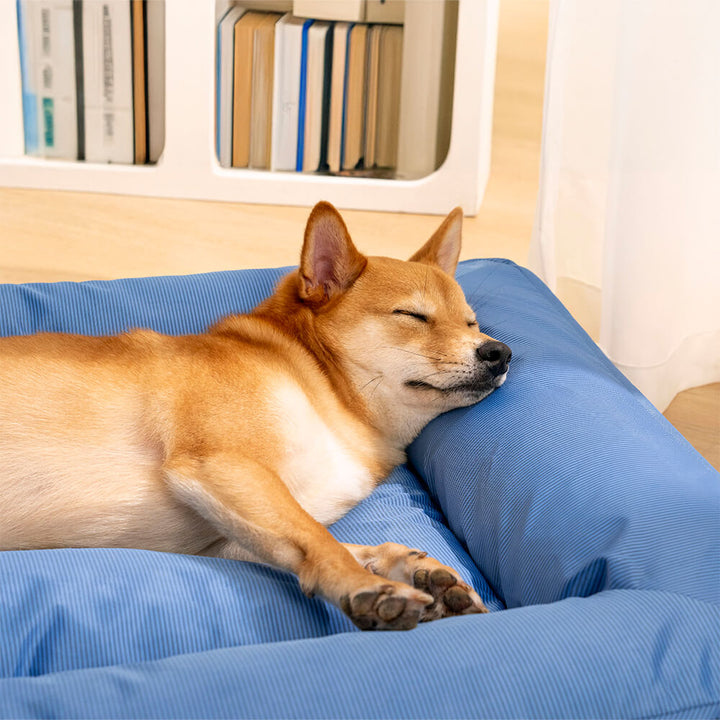 "Großes orthopädisches Hundebett, wasserdicht. Gemütliches Design mit robustem, kratzfestem Bezug und stützender Umrandung."