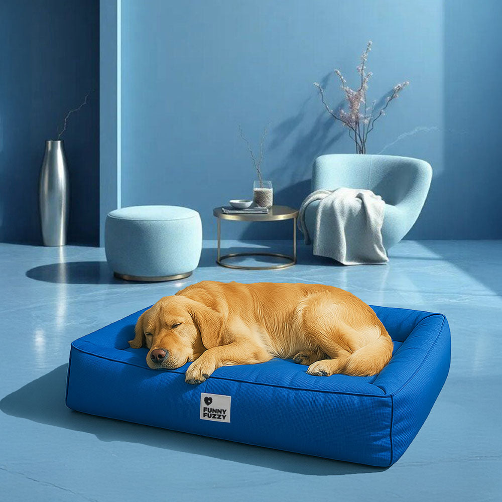 "Großes orthopädisches Hundebett, wasserdicht. Gemütliches Design mit robustem, kratzfestem Bezug und stützender Umrandung."