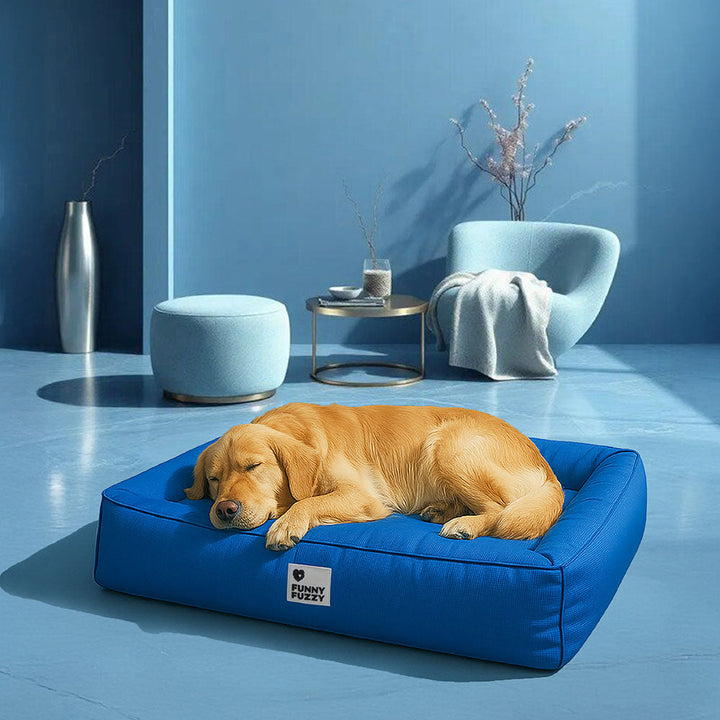 "Großes orthopädisches Hundebett, wasserdicht. Gemütliches Design mit robustem, kratzfestem Bezug und stützender Umrandung."