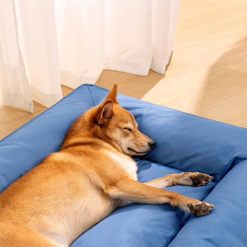 "Großes orthopädisches Hundebett, wasserdicht. Gemütliches Design mit robustem, kratzfestem Bezug und stützender Umrandung."