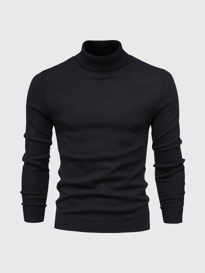 "Herren Rollkragenpullover aus weicher, pflegeleichter Baumwolle, klassischer Schnitt in verschiedenen Farben, elegant gestal